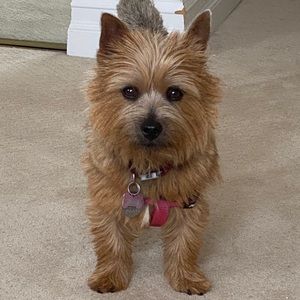 Meet your Posher, Kellee